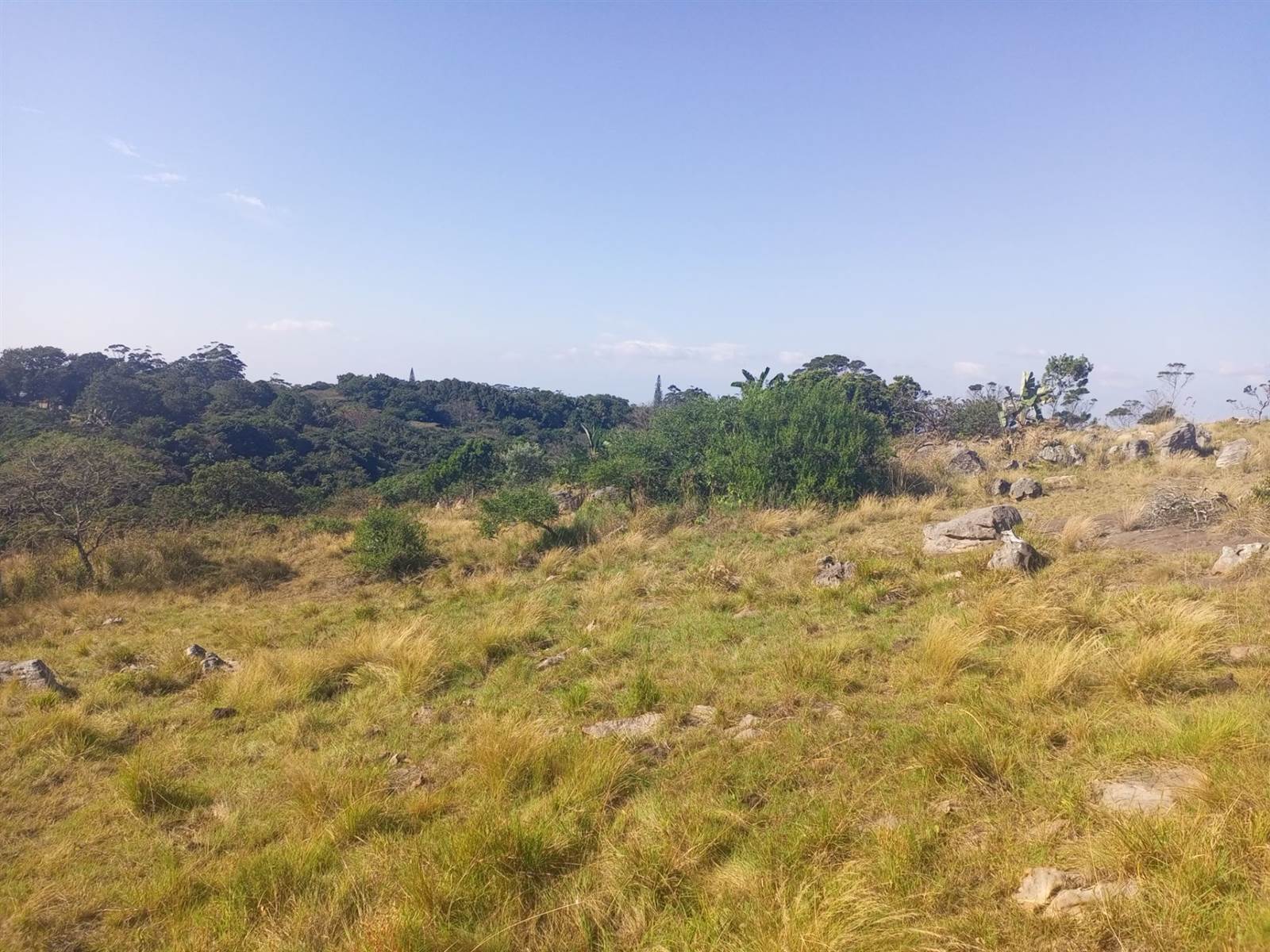 1018 m² Land available in Margate photo number 3
