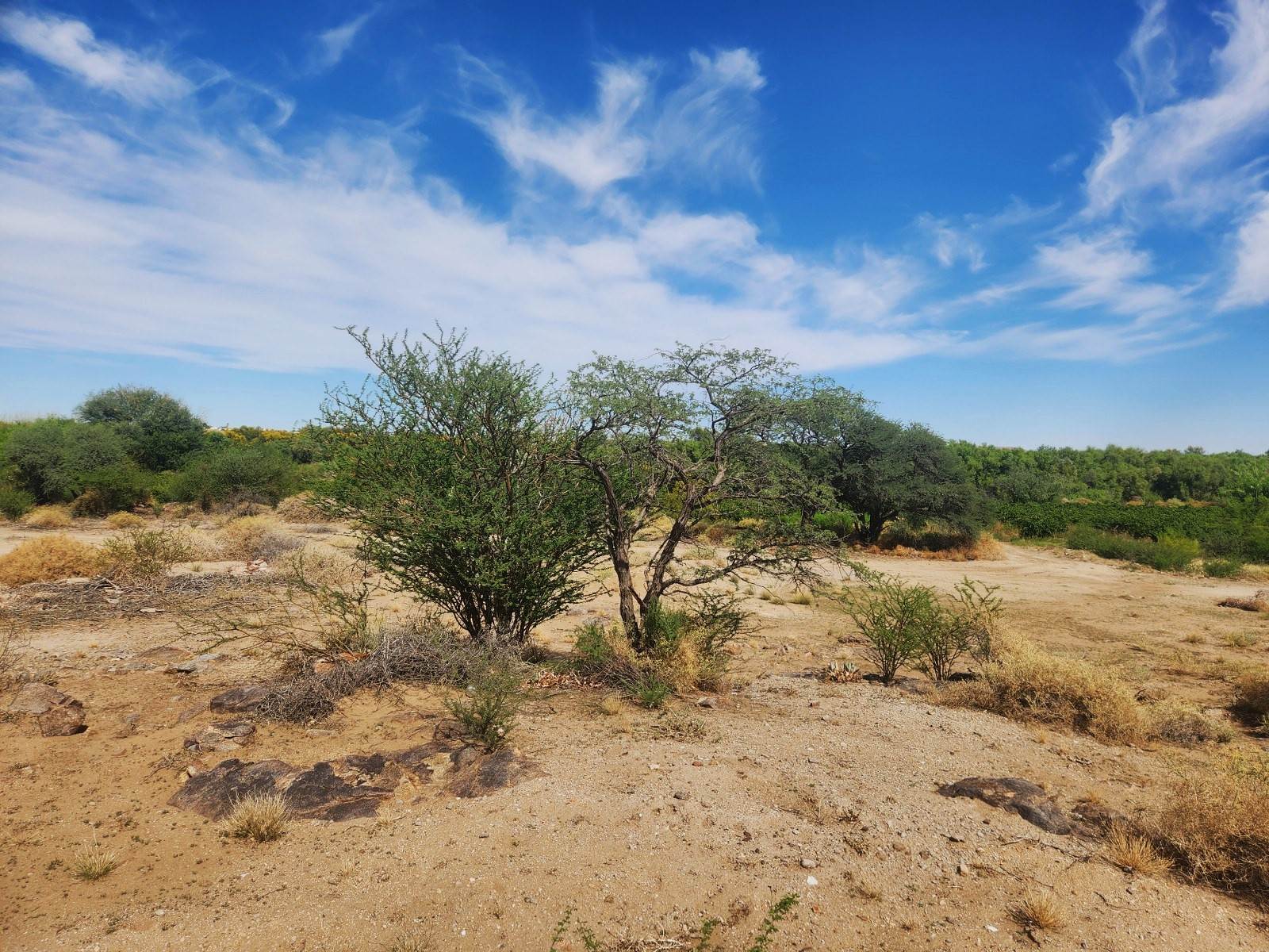 3963 m² Land available in Kanoneiland photo number 6