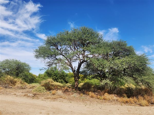3963 m² Land available in Kanoneiland