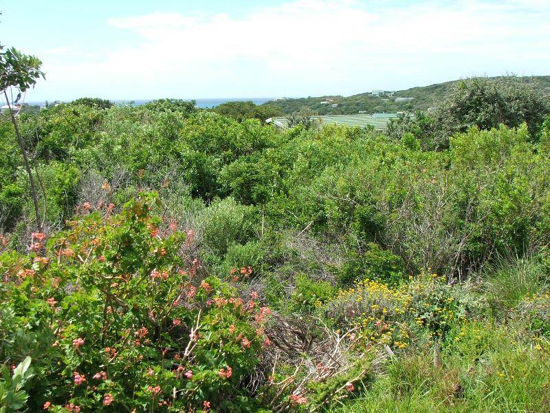 807 m² Land available in Seafield photo number 8