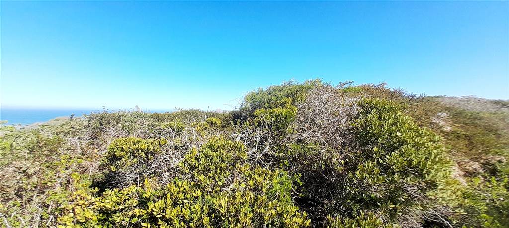 700 m² Land available in Yzerfontein photo number 6