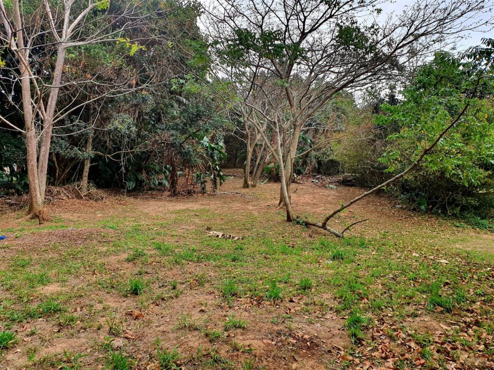 1259 m² Land available in Hibberdene photo number 1