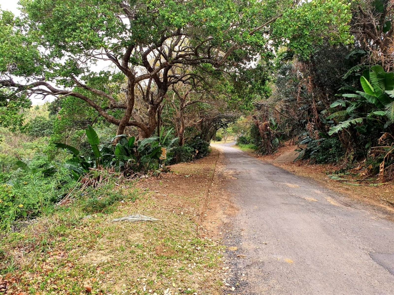 1259 m² Land available in Hibberdene photo number 4