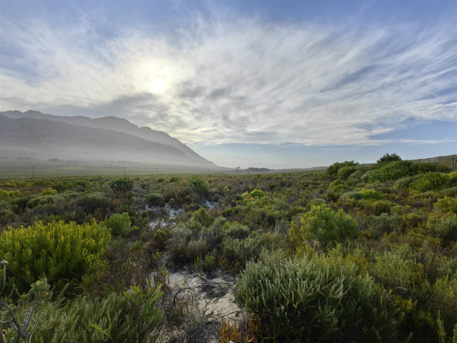 620 m² Land available in Pringle Bay photo number 1