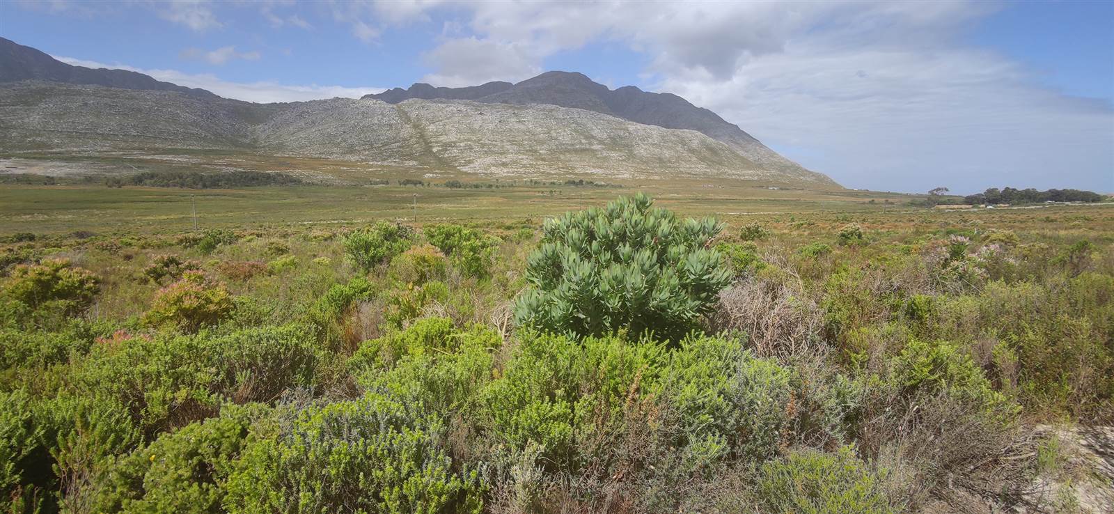 620 m² Land available in Pringle Bay photo number 5