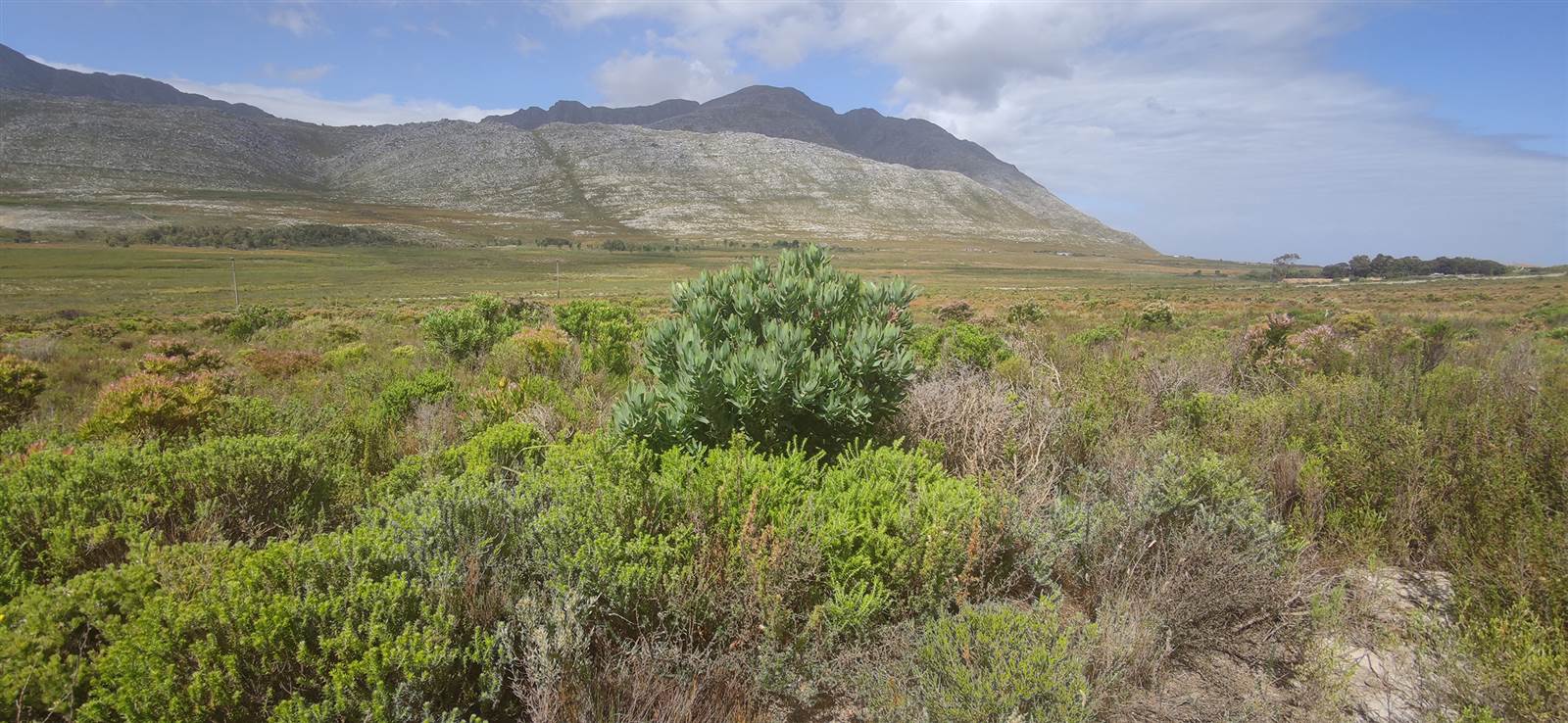 620 m² Land available in Pringle Bay photo number 2