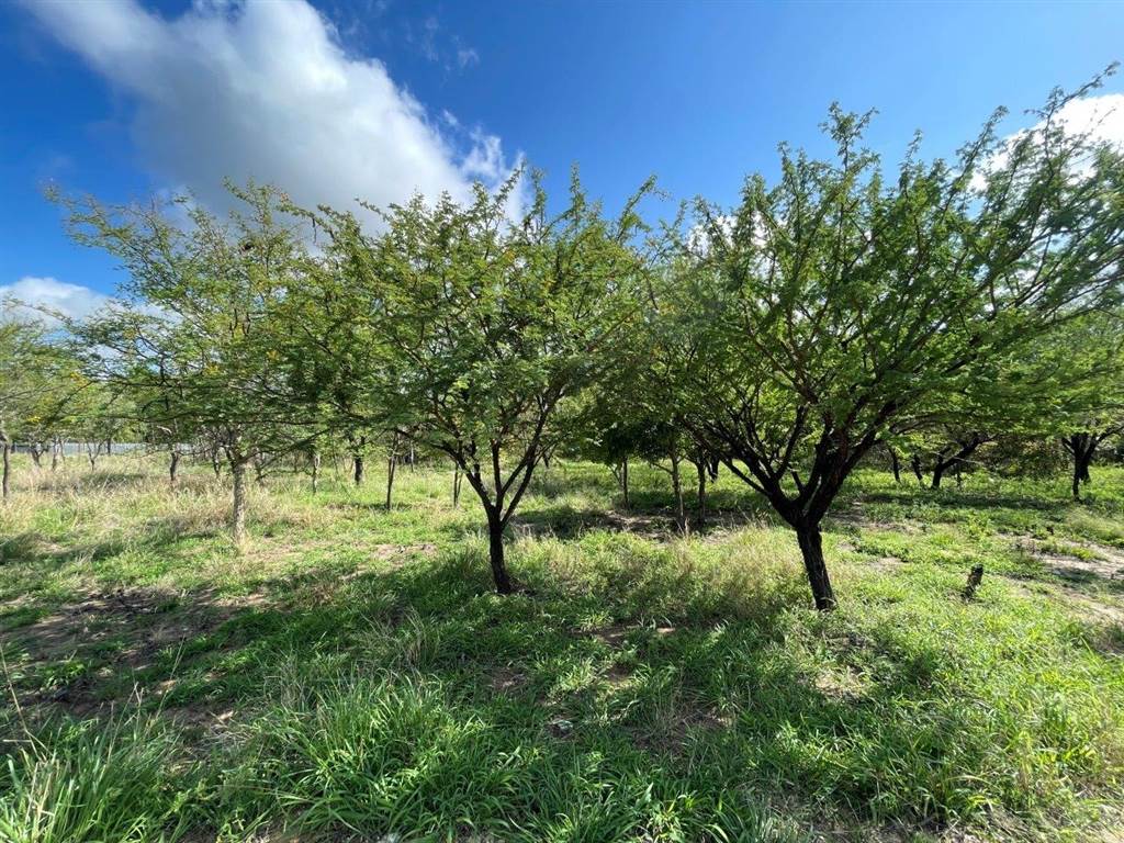 3777 m² Land available in Kampersrus AH photo number 6