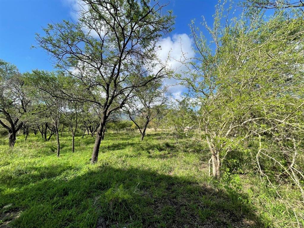 3777 m² Land available in Kampersrus AH photo number 15