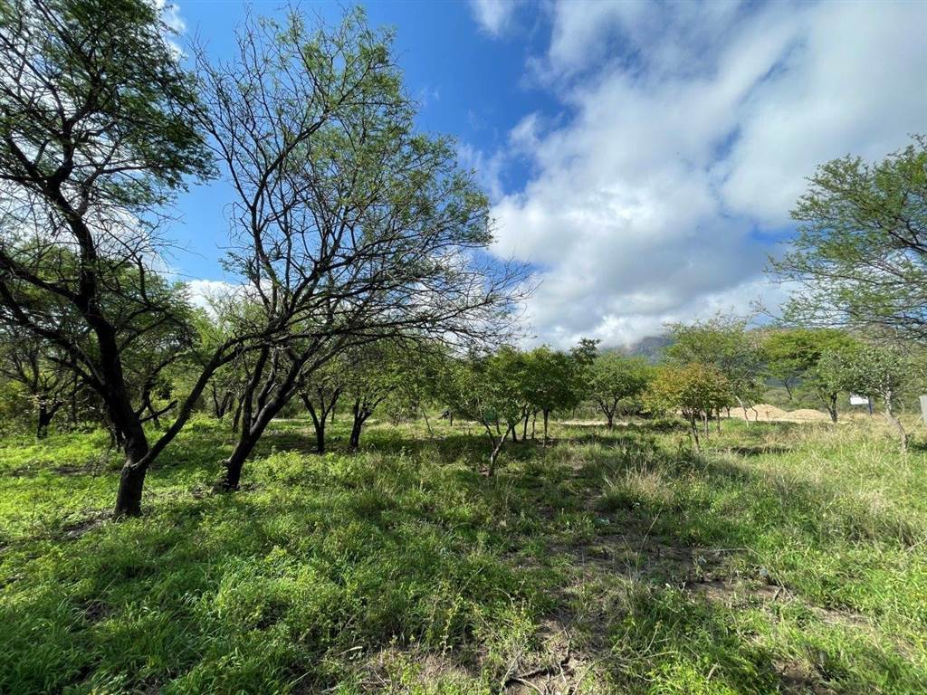 3777 m² Land available in Kampersrus AH photo number 9