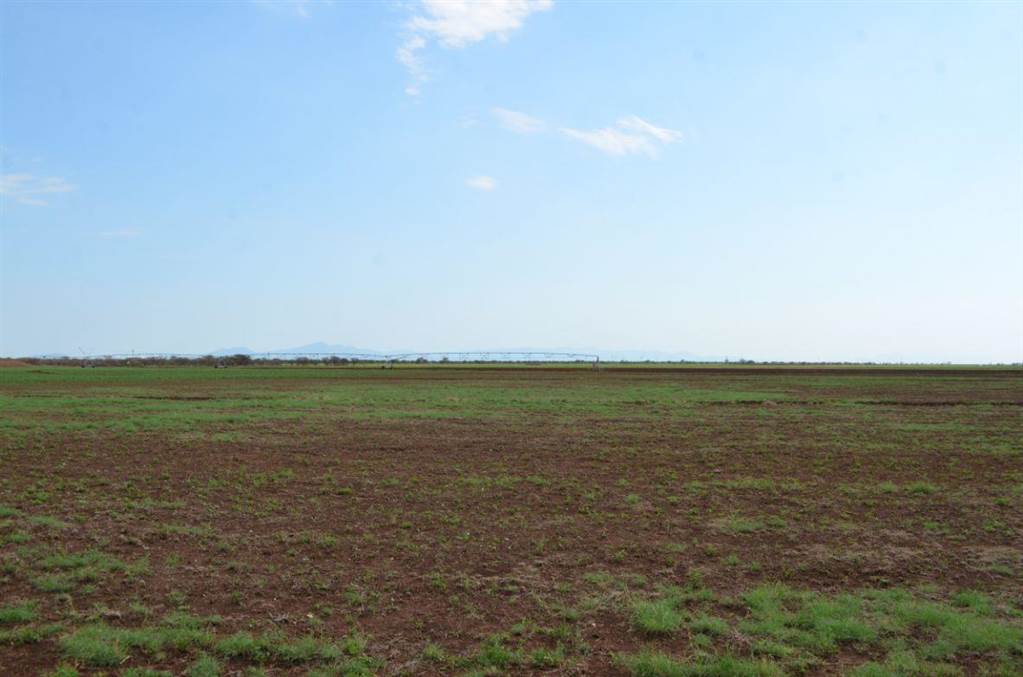 171 ha Farm in Roedtan photo number 17