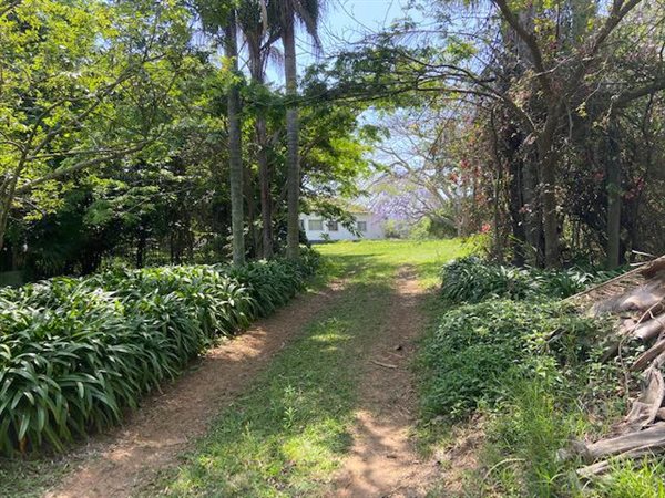 11 ha Smallholding in Tongaat Central