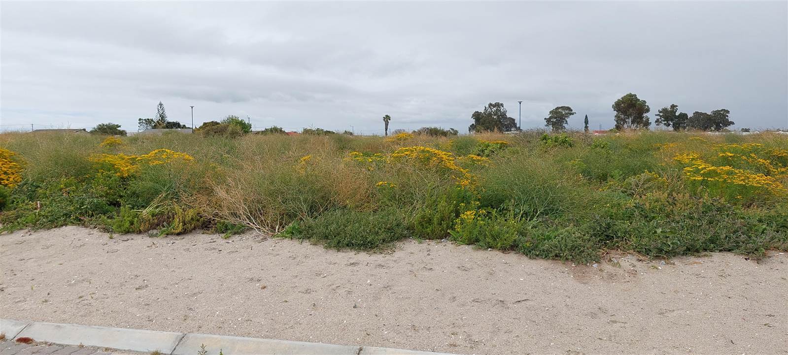 500 m² Land available in Vredendal photo number 4