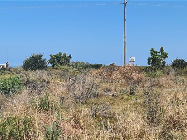 364 m² Land