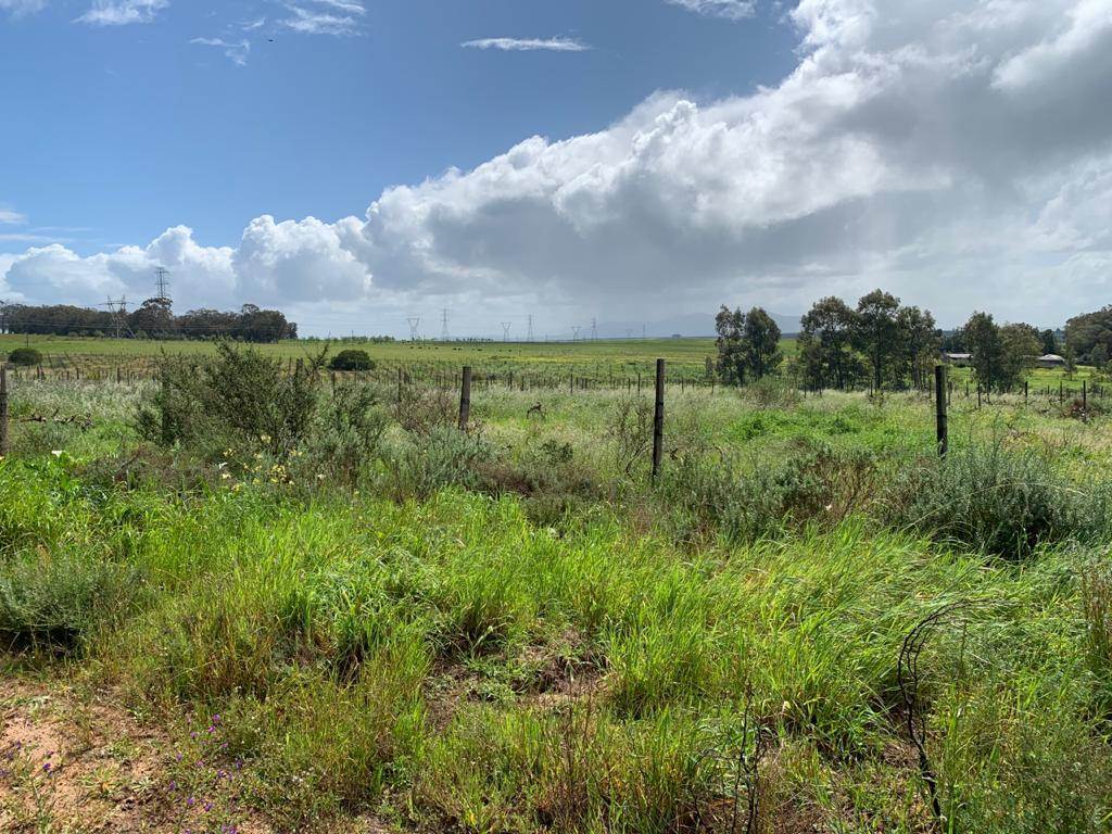 27.1 ha Farm in Northern Paarl photo number 15