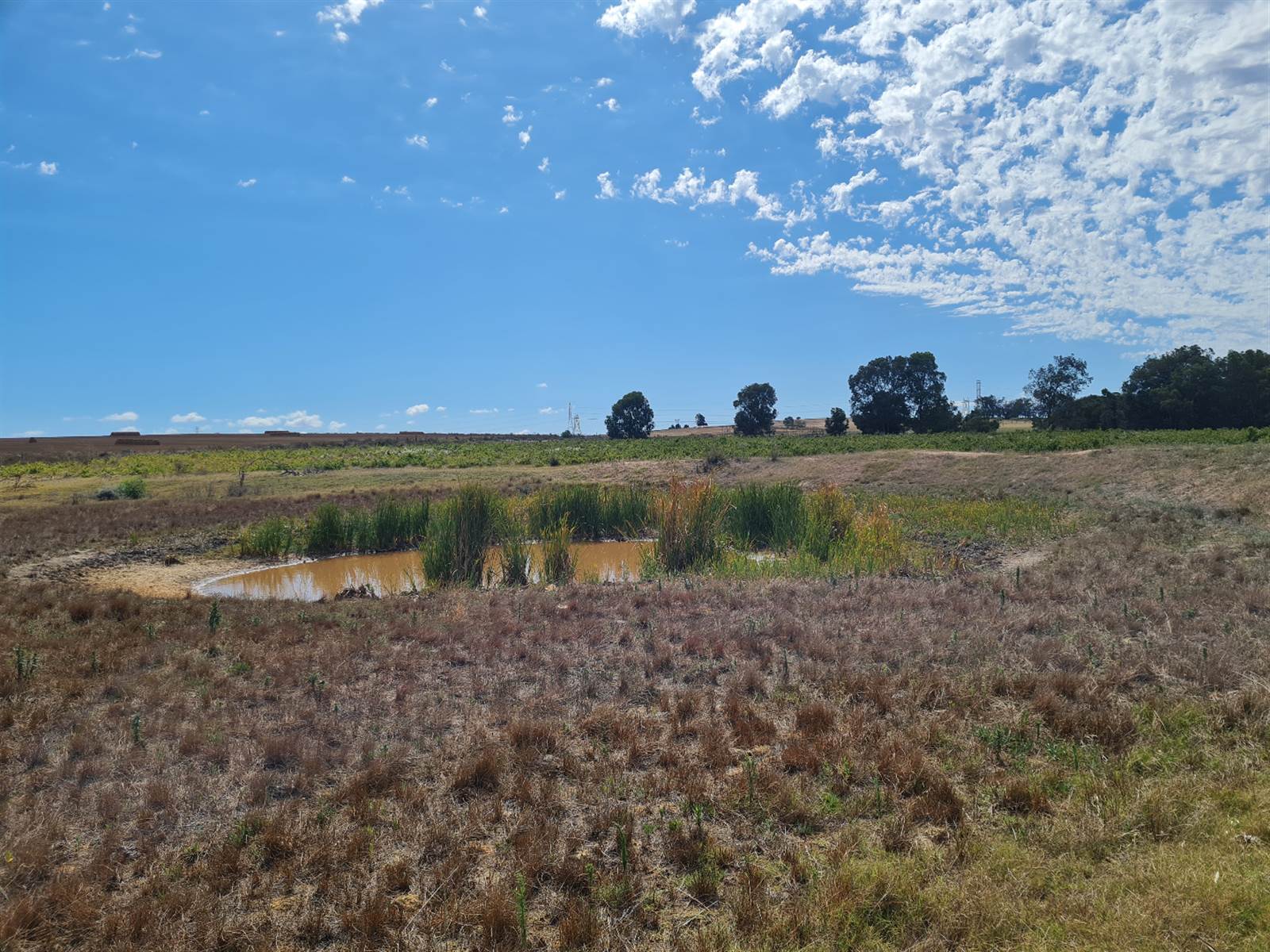 27.1 ha Farm in Northern Paarl photo number 9