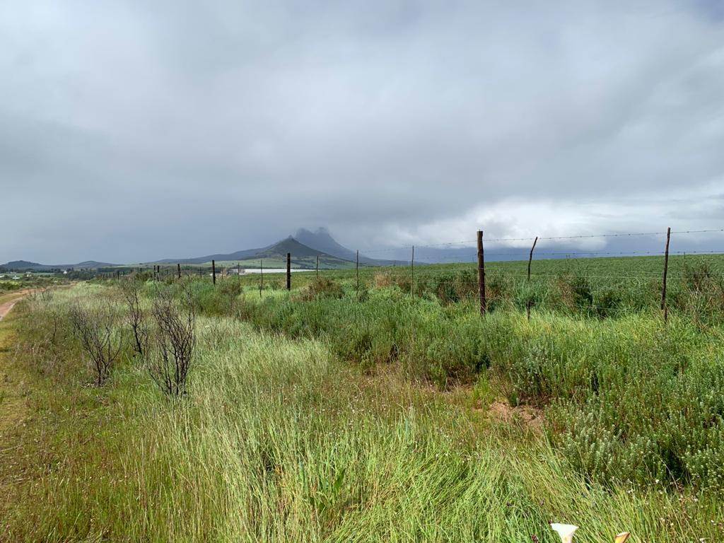 27.1 ha Farm in Northern Paarl photo number 4