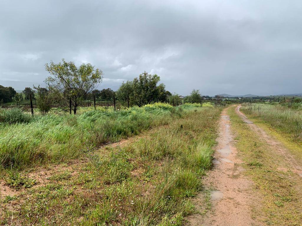 27.1 ha Farm in Northern Paarl photo number 18