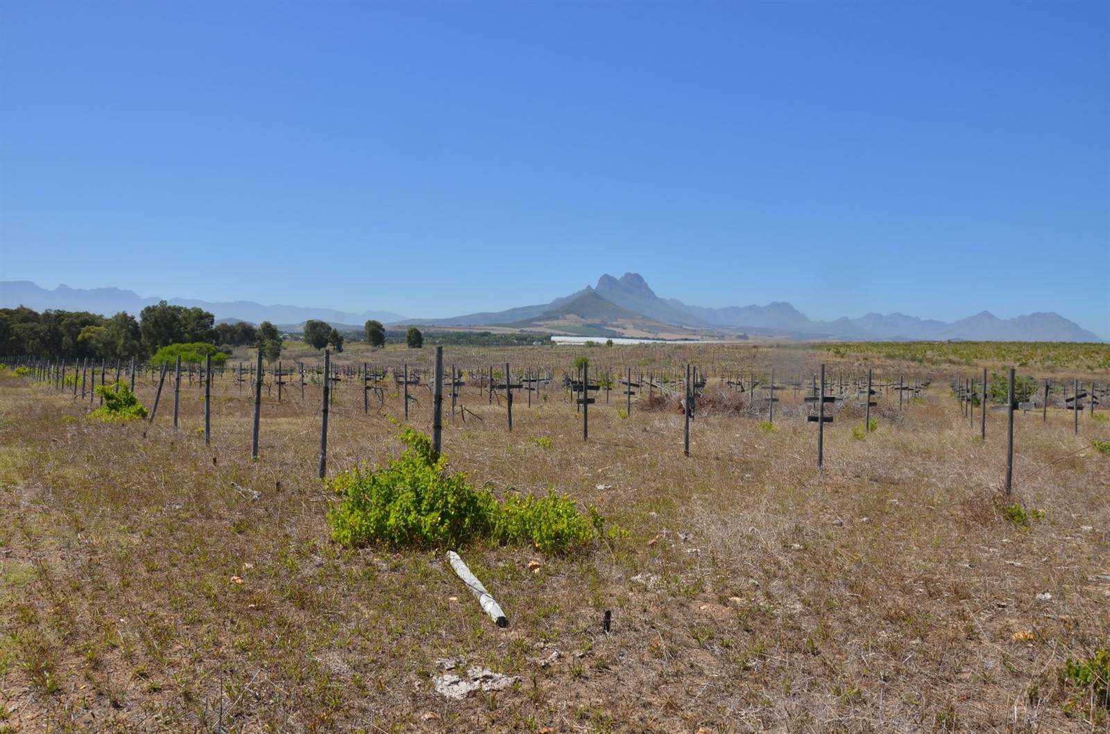 27.1 ha Farm in Northern Paarl photo number 17