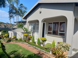 3 Bed House in Lotusville