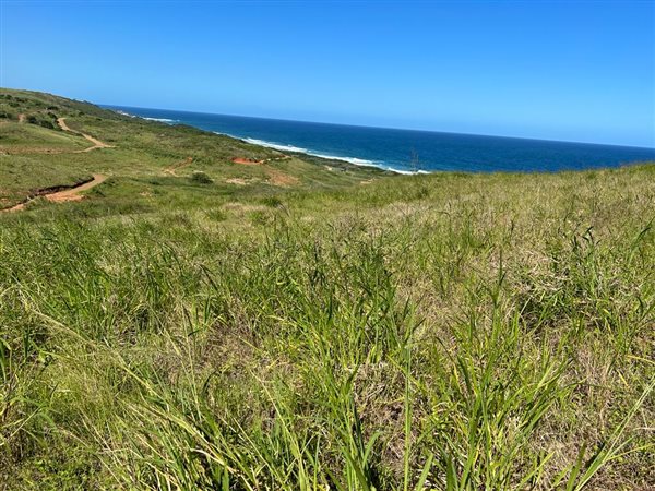 1574 m² Land available in Sheffield Beach