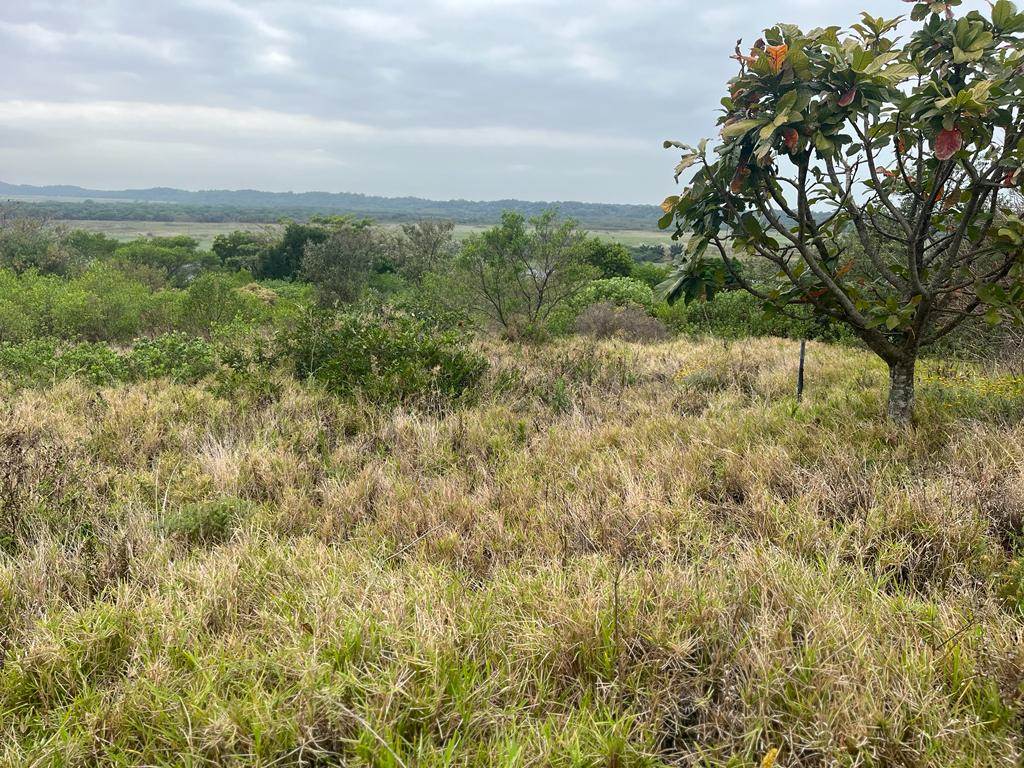1877 m² Land available in Mtunzini photo number 2