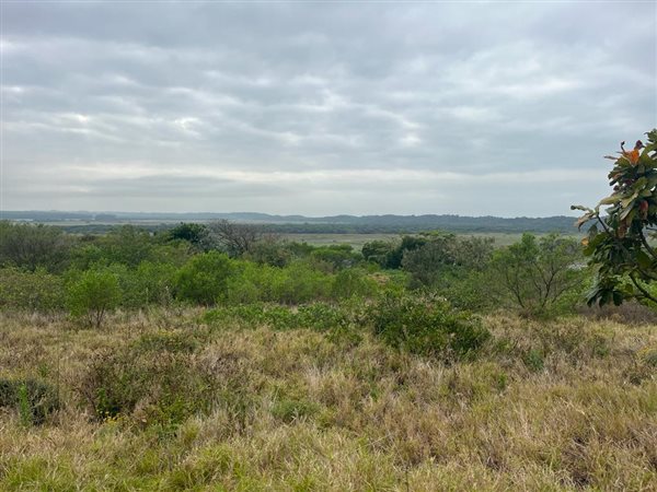 1877 m² Land available in Mtunzini