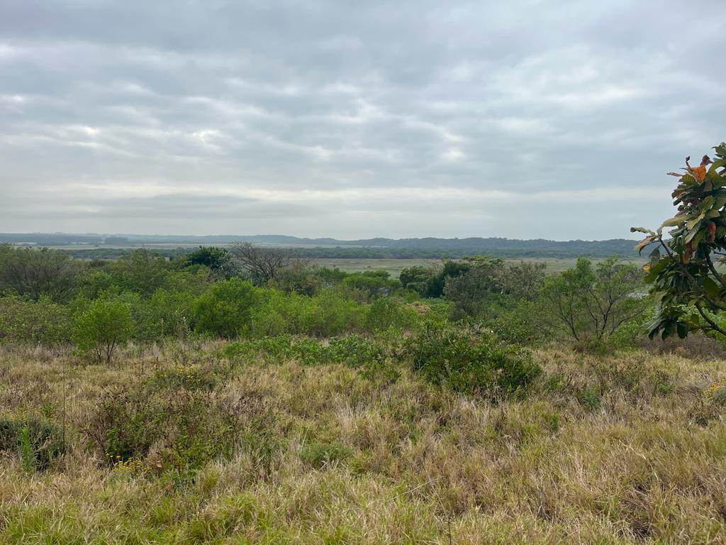 1877 m² Land available in Mtunzini photo number 1
