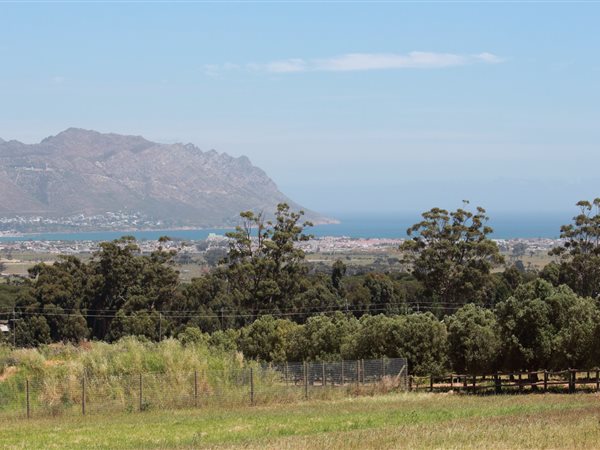 6 009 m² Land