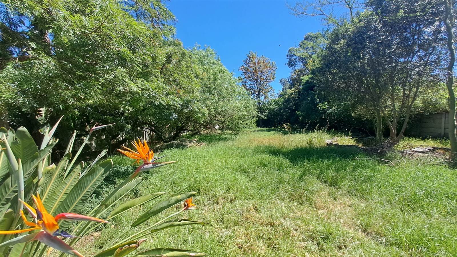 1657 m² Land available in Wellington Central photo number 1