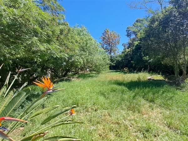 1657 m² Land available in Wellington Central