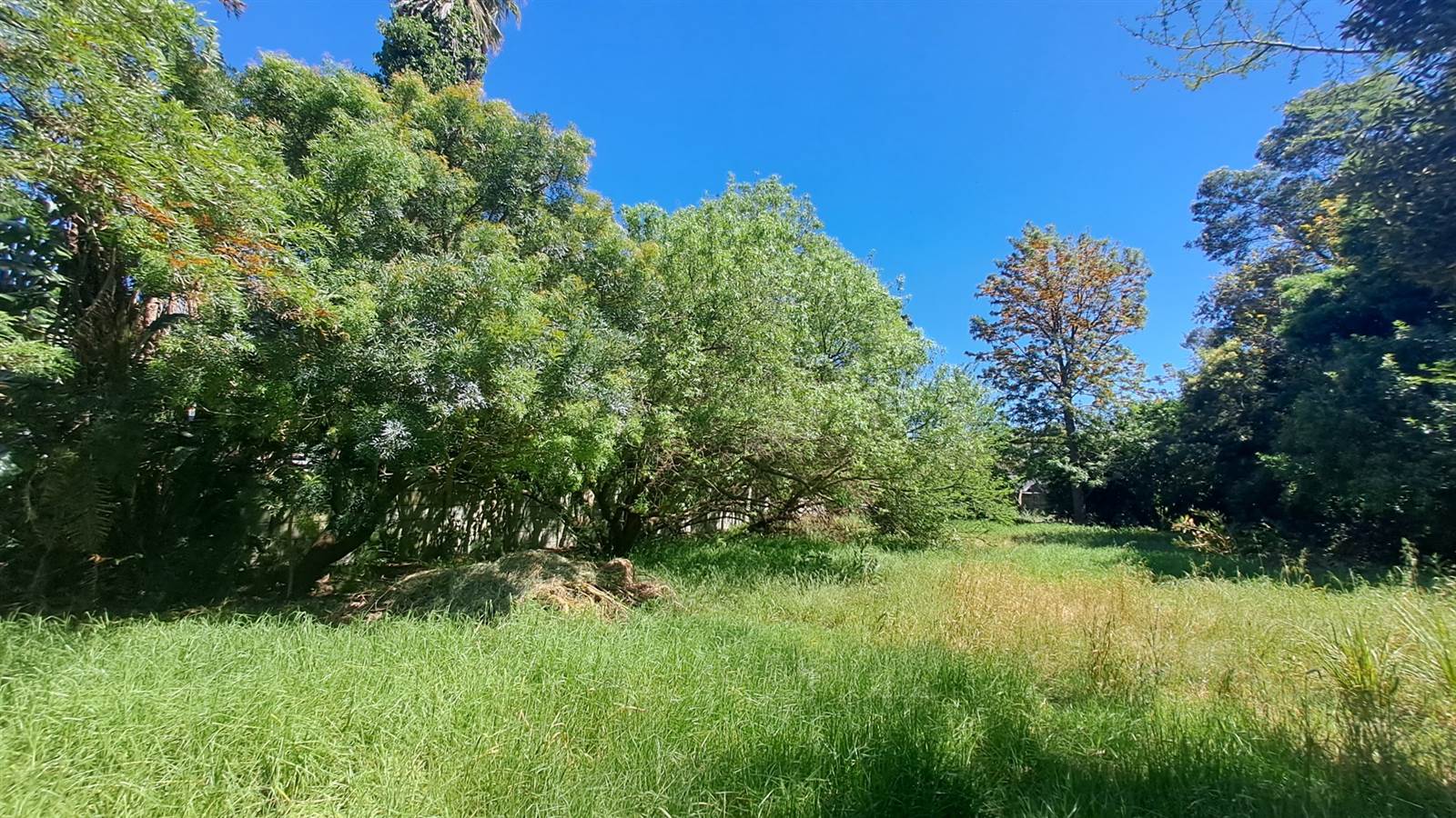 1657 m² Land available in Wellington Central photo number 7