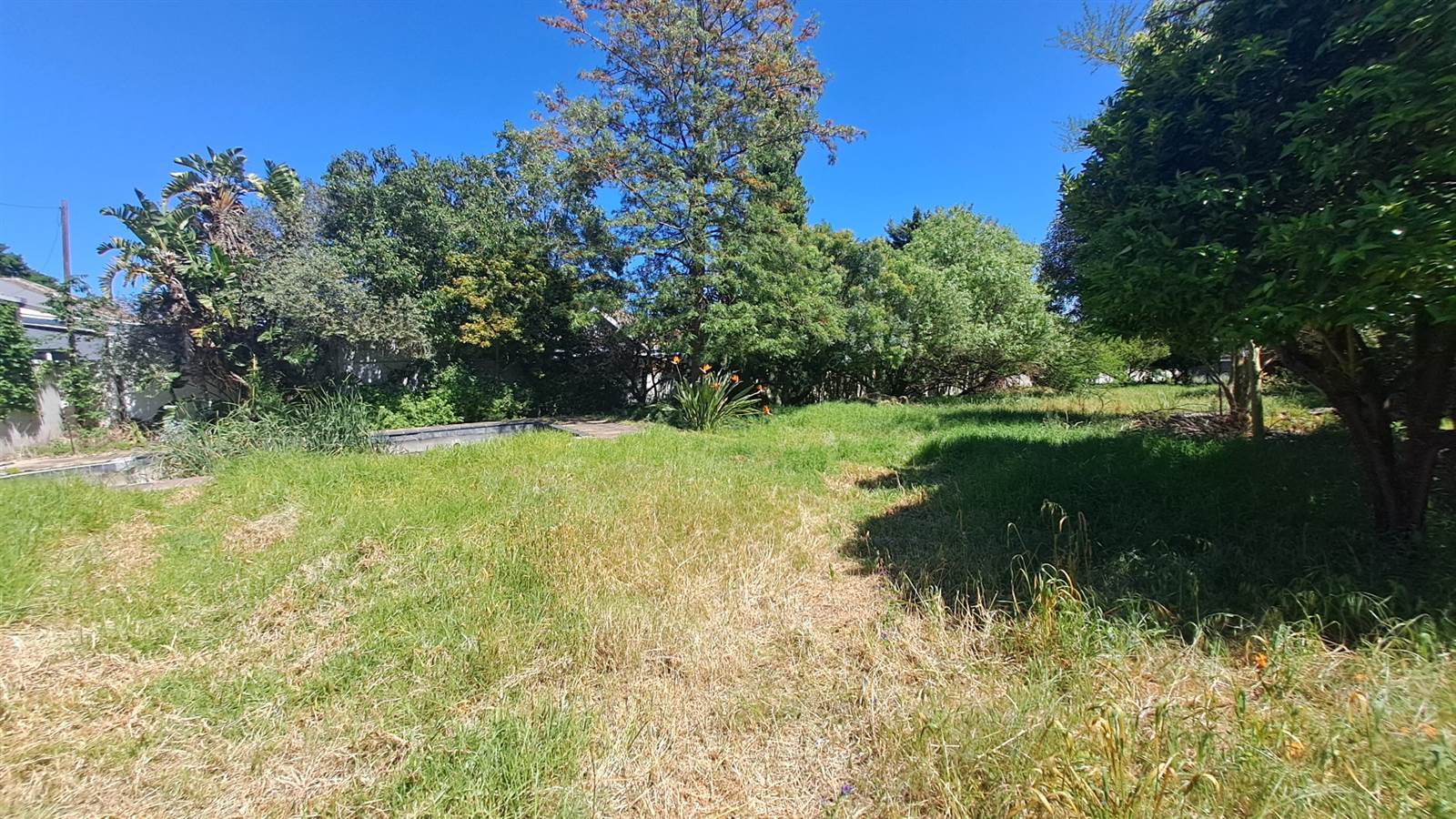 1657 m² Land available in Wellington Central photo number 13