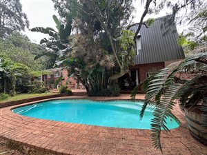 House in Montrose