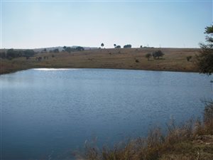 21.4 ha Land available in Doornrandje