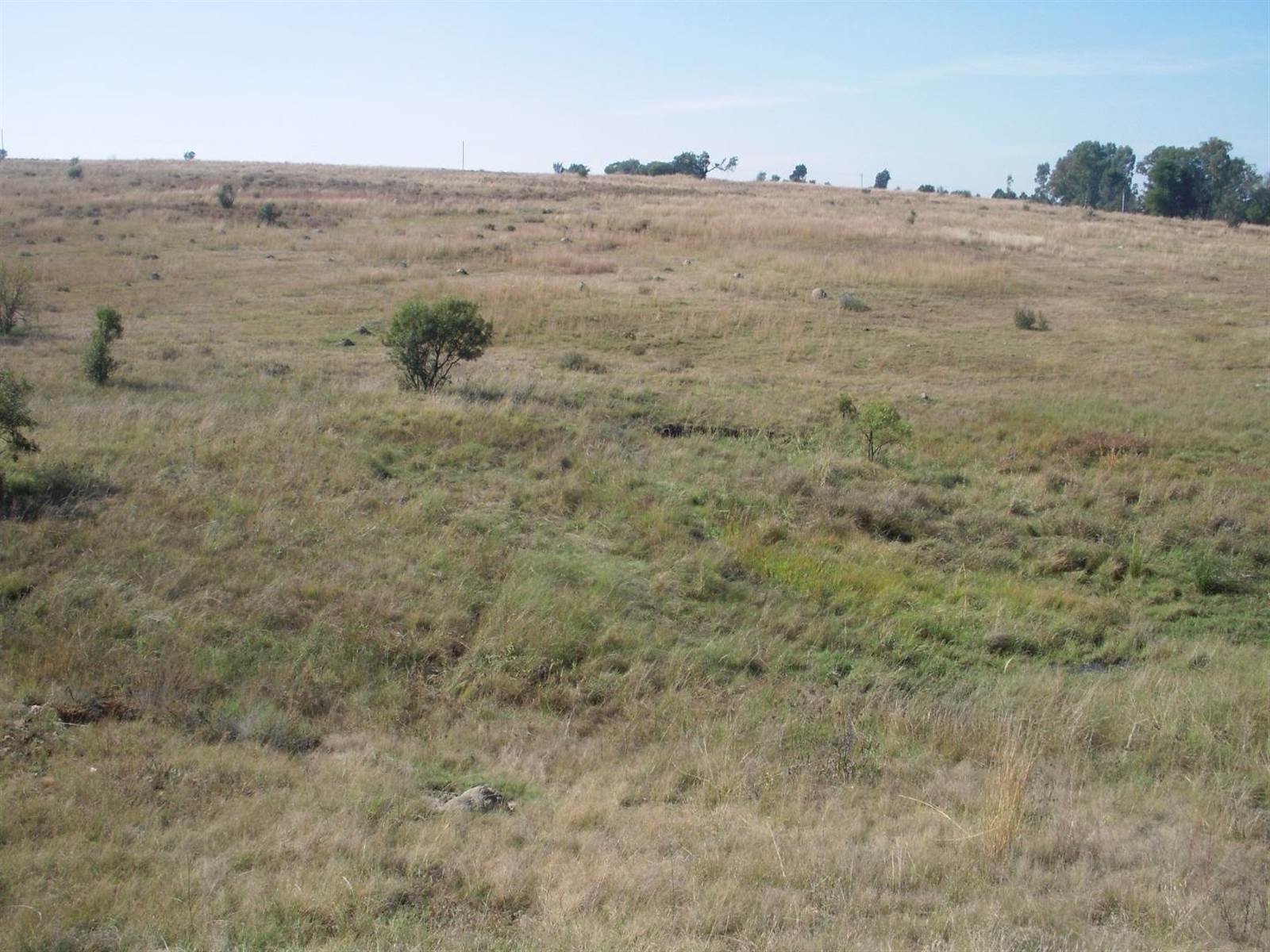 21.4 ha Land available in Doornrandje photo number 9