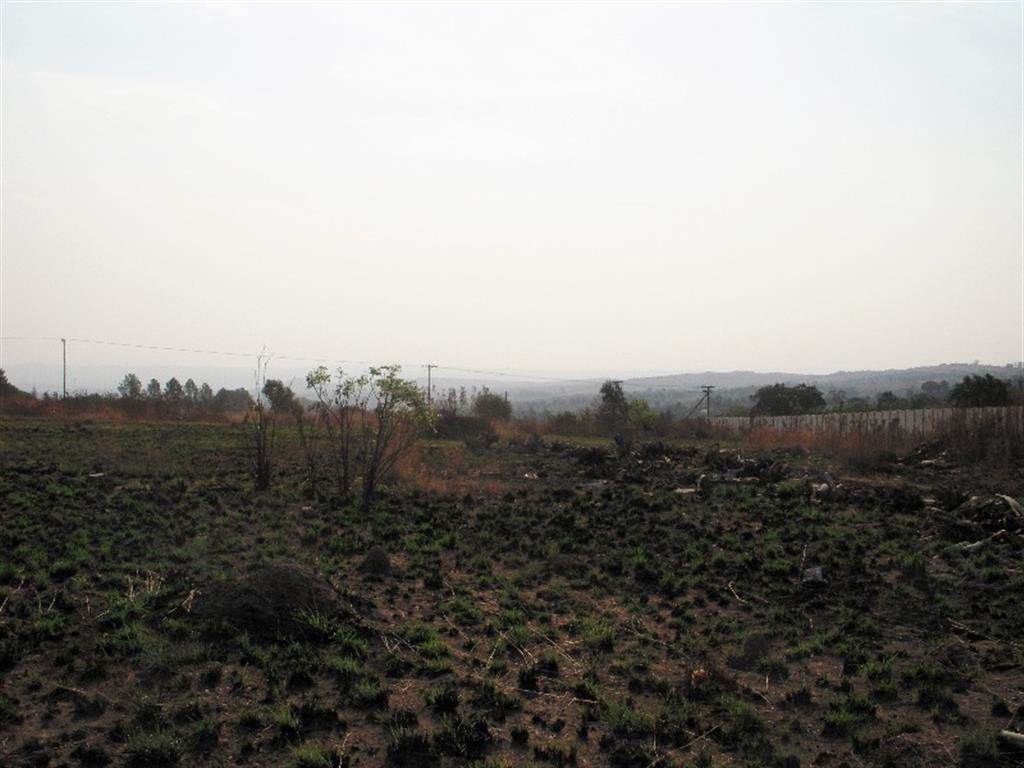 2.5 ha Land available in Laezonia photo number 10