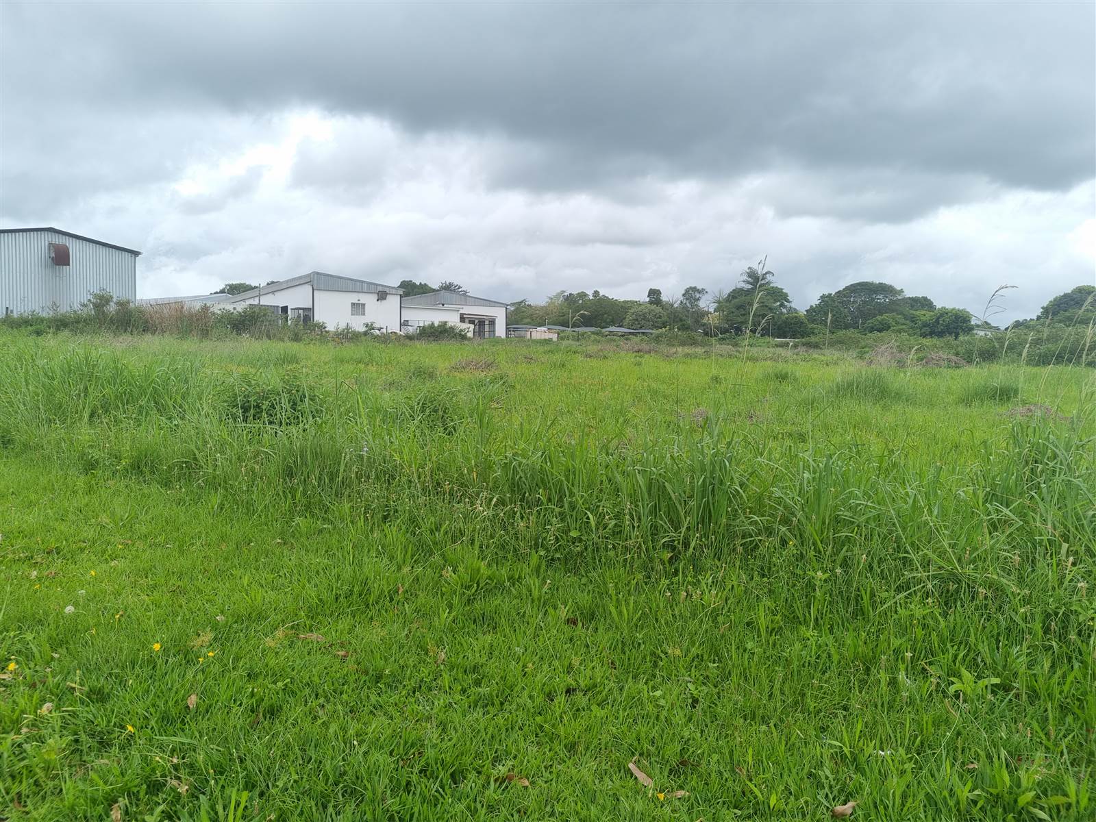 9477 m² Land available in Eshowe photo number 5