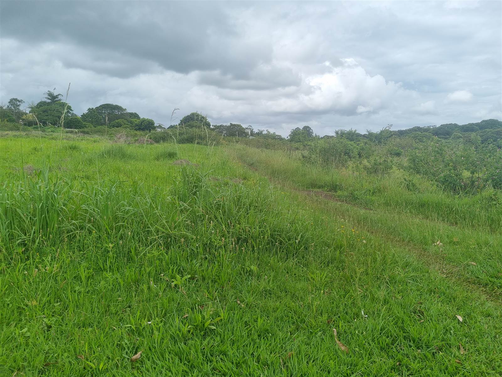 9477 m² Land available in Eshowe photo number 11