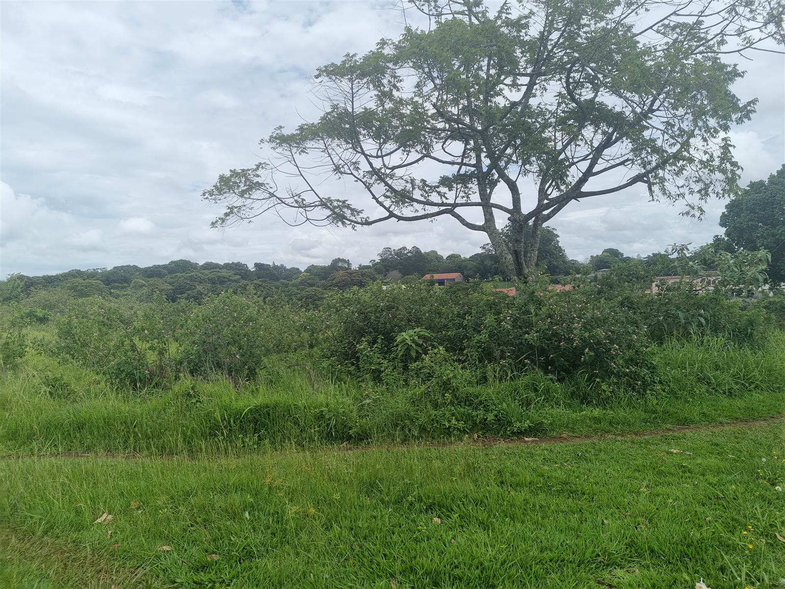 9477 m² Land available in Eshowe photo number 7