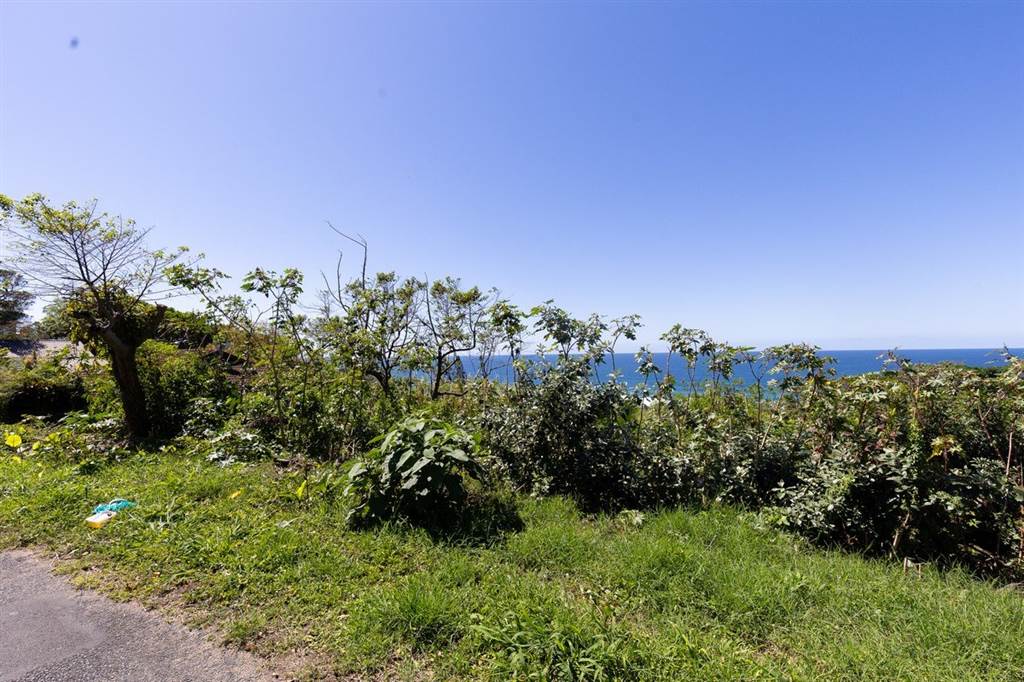 2342 m² Land available in Oslo Beach photo number 3