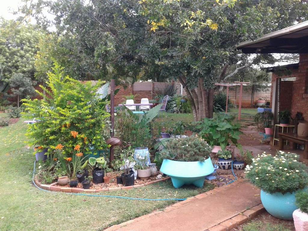 2.2 ha Smallholding in Polokwane Central photo number 2