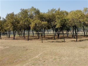 5000 m² Land available in Blue Hills Equestrian Estate