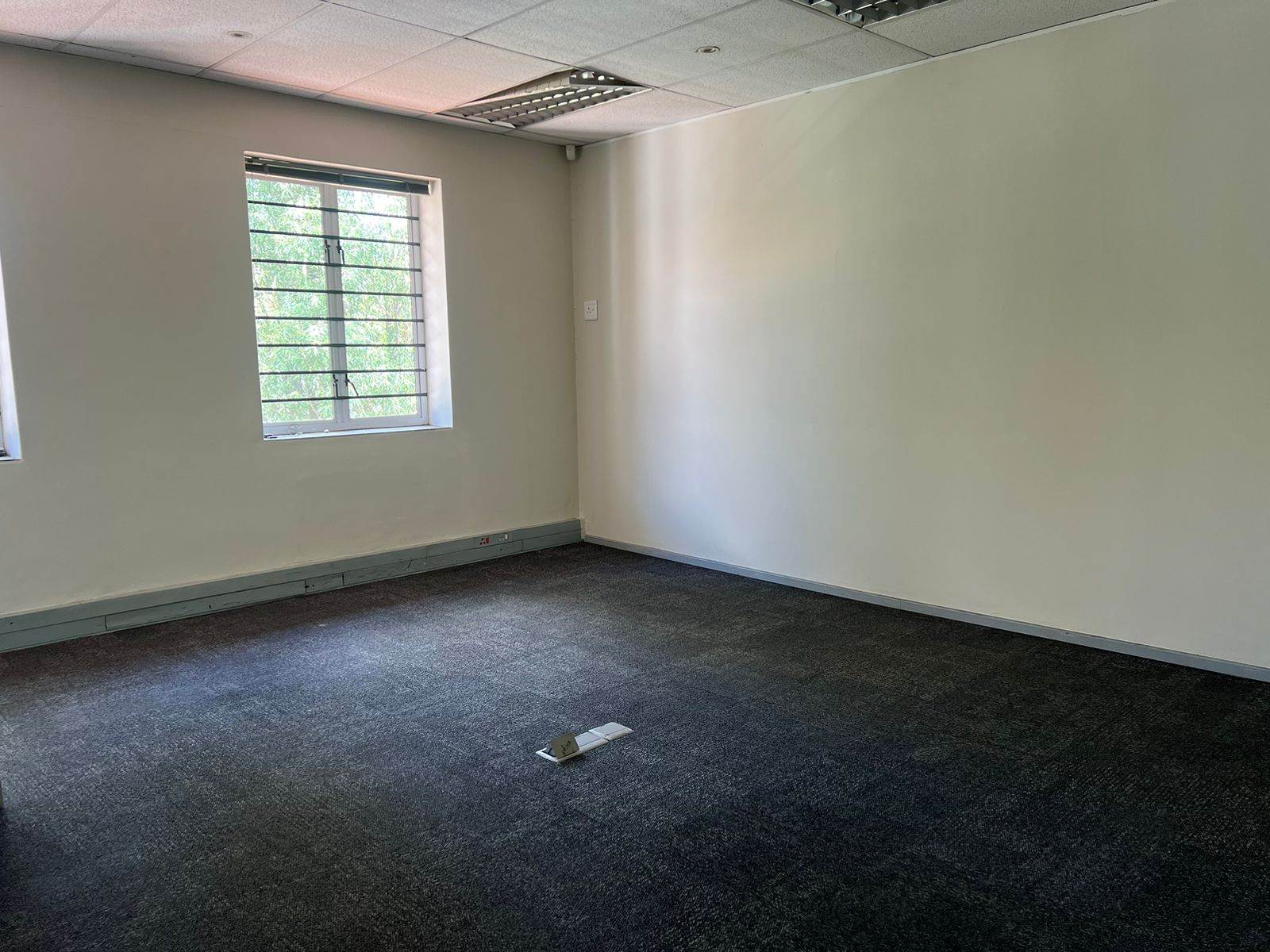 108  m² Commercial space in Craighall Park photo number 9
