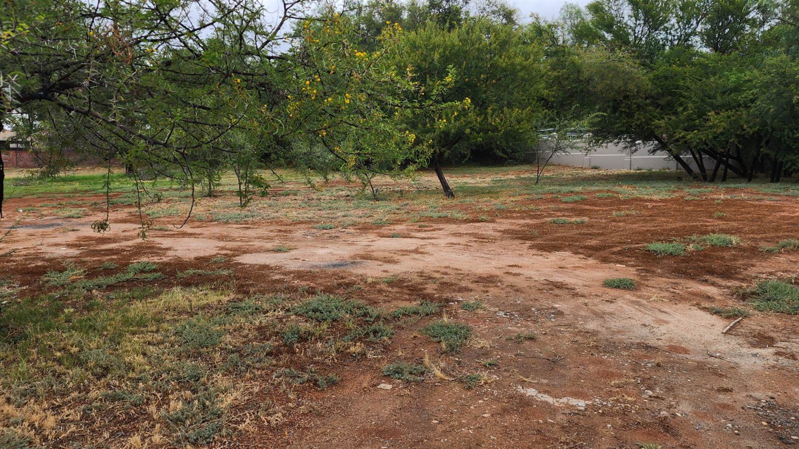 966 m² Land available in Oudtshoorn photo number 1