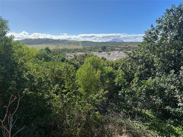 843 m² Land 843 m² Land