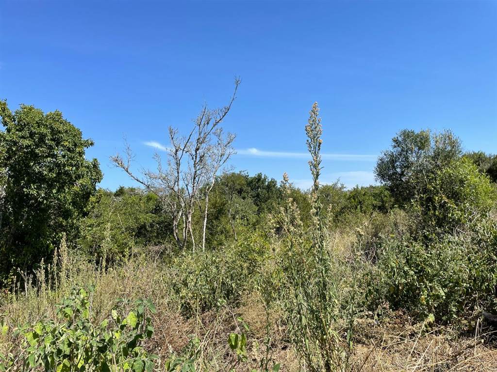 2148 m² Land available in Bathurst and Surrounds photo number 11