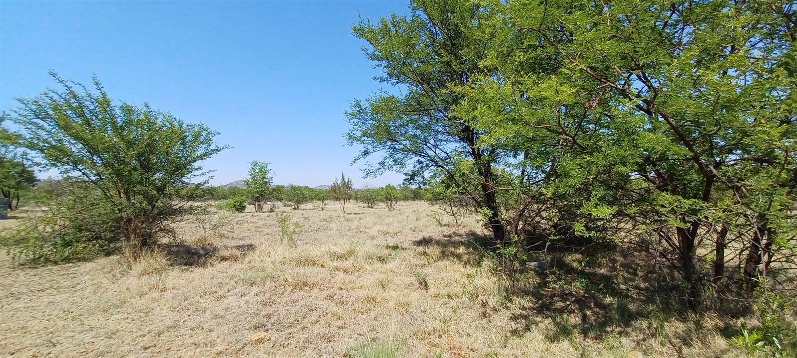 1265 m² Land available in Melodie photo number 18
