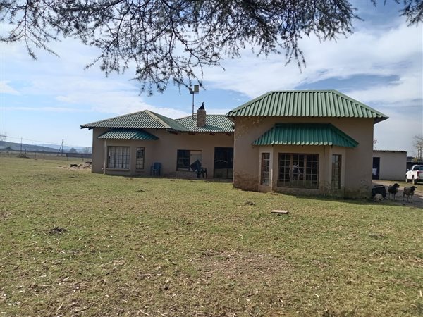 3 Bedroom House 3 Bedroom House