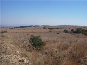 9.3 ha Land available in Doornrandje