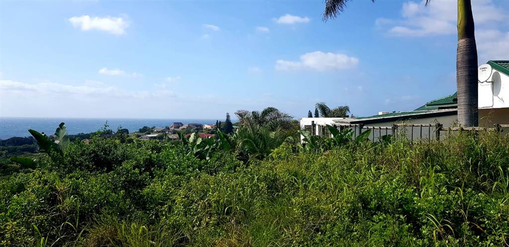 1196 m² Land available in Hibberdene photo number 6